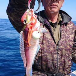 ARCADIAⅡ (アルカディアⅡ) 釣果