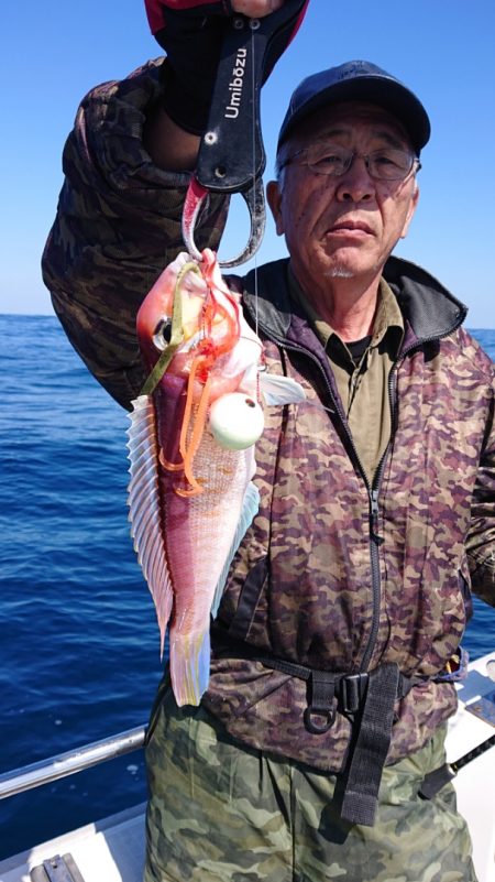 ARCADIAⅡ (アルカディアⅡ) 釣果