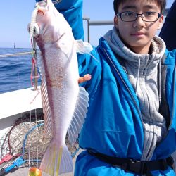 ARCADIAⅡ (アルカディアⅡ) 釣果