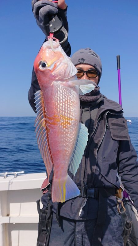 ARCADIAⅡ (アルカディアⅡ) 釣果