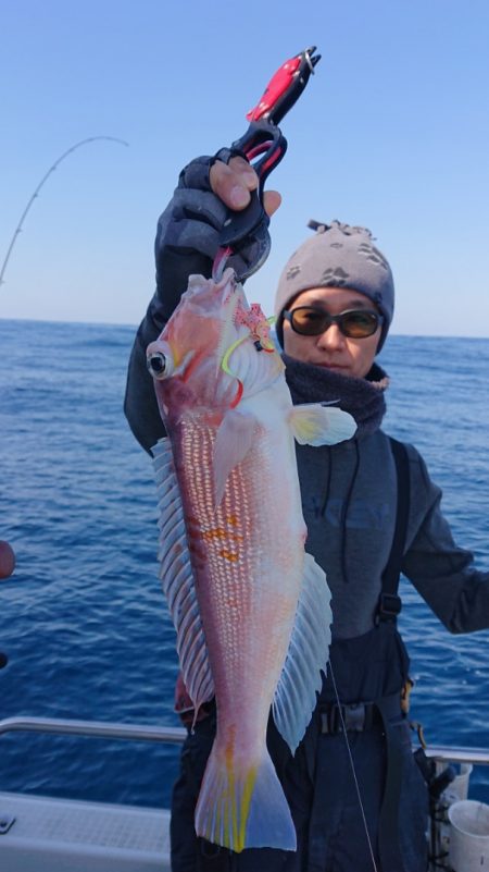 ARCADIAⅡ (アルカディアⅡ) 釣果