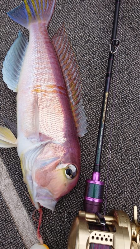 ARCADIAⅡ (アルカディアⅡ) 釣果