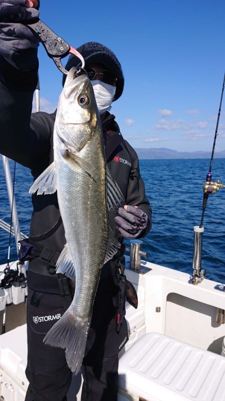 ARCADIAⅡ (アルカディアⅡ) 釣果