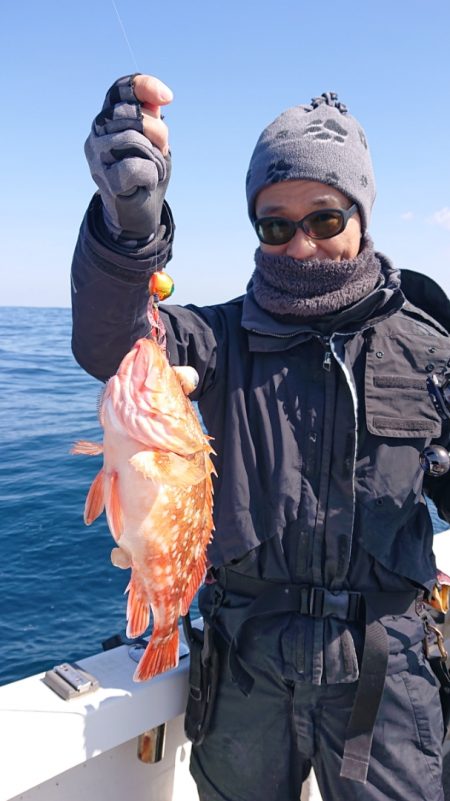 ARCADIAⅡ (アルカディアⅡ) 釣果