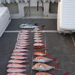 ARCADIAⅡ (アルカディアⅡ) 釣果