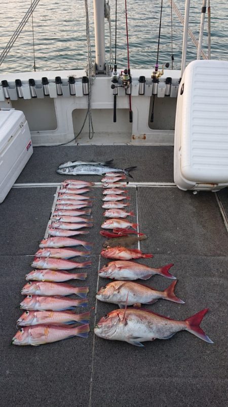 ARCADIAⅡ (アルカディアⅡ) 釣果