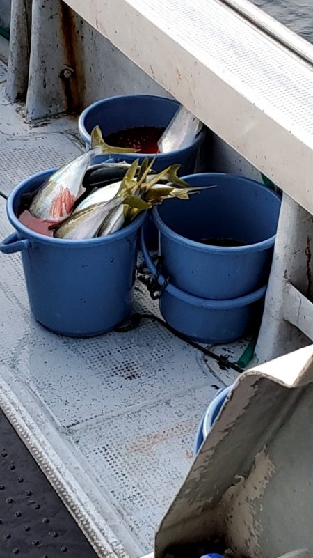 LUSTER『ラスター』 釣果