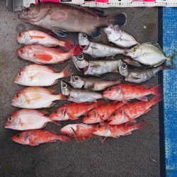 清和丸 釣果