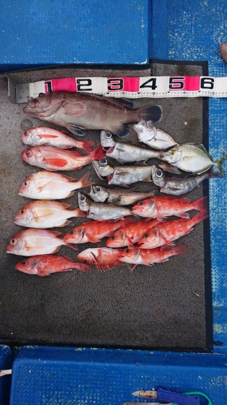 清和丸 釣果
