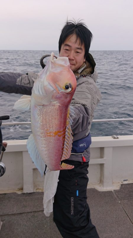 ARCADIAⅡ (アルカディアⅡ) 釣果