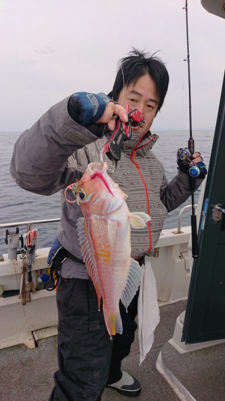 ARCADIAⅡ (アルカディアⅡ) 釣果