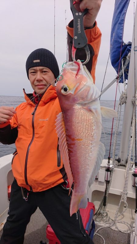 ARCADIAⅡ (アルカディアⅡ) 釣果