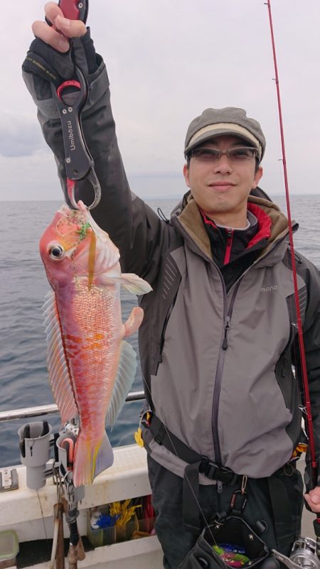 ARCADIAⅡ (アルカディアⅡ) 釣果