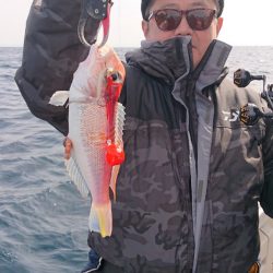 ARCADIAⅡ (アルカディアⅡ) 釣果