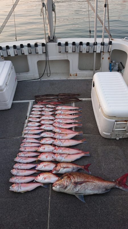 ARCADIAⅡ (アルカディアⅡ) 釣果