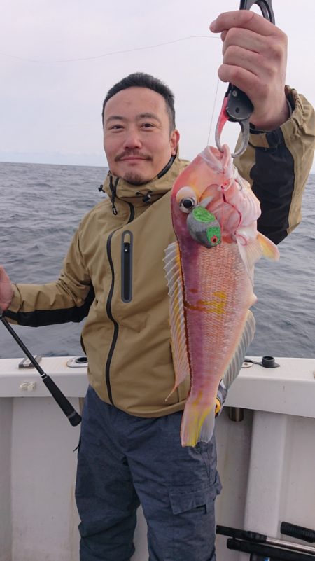 ARCADIAⅡ (アルカディアⅡ) 釣果