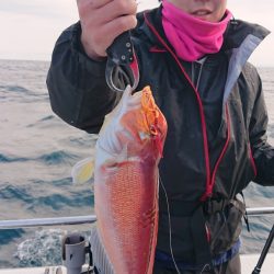 ARCADIAⅡ (アルカディアⅡ) 釣果