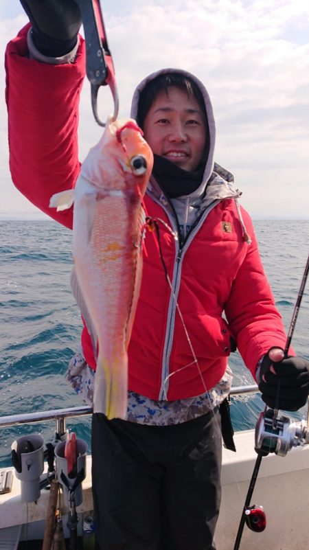 ARCADIAⅡ (アルカディアⅡ) 釣果