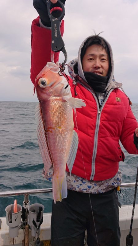 ARCADIAⅡ (アルカディアⅡ) 釣果