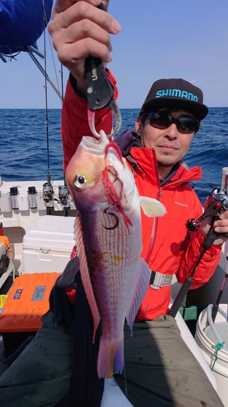 ARCADIAⅡ (アルカディアⅡ) 釣果