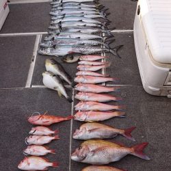 ARCADIAⅡ (アルカディアⅡ) 釣果