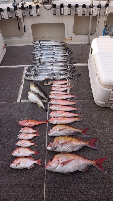 ARCADIAⅡ (アルカディアⅡ) 釣果