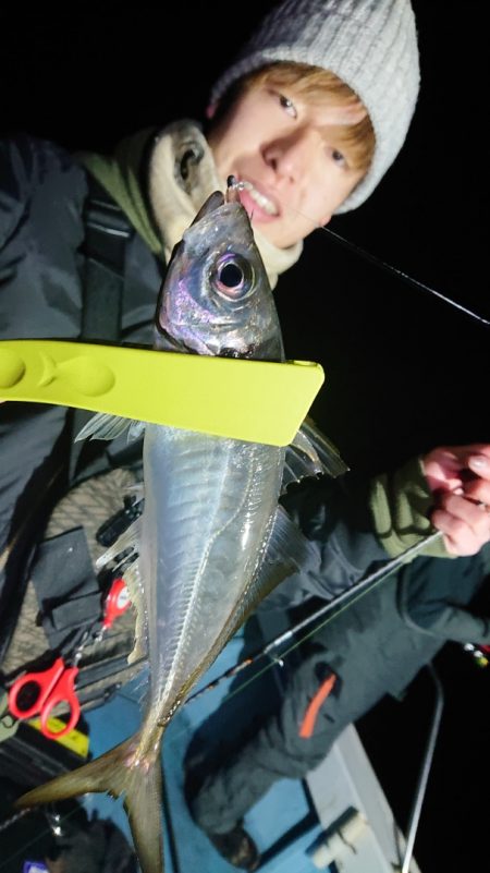 シースナイパー海龍 釣果