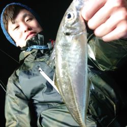 シースナイパー海龍 釣果