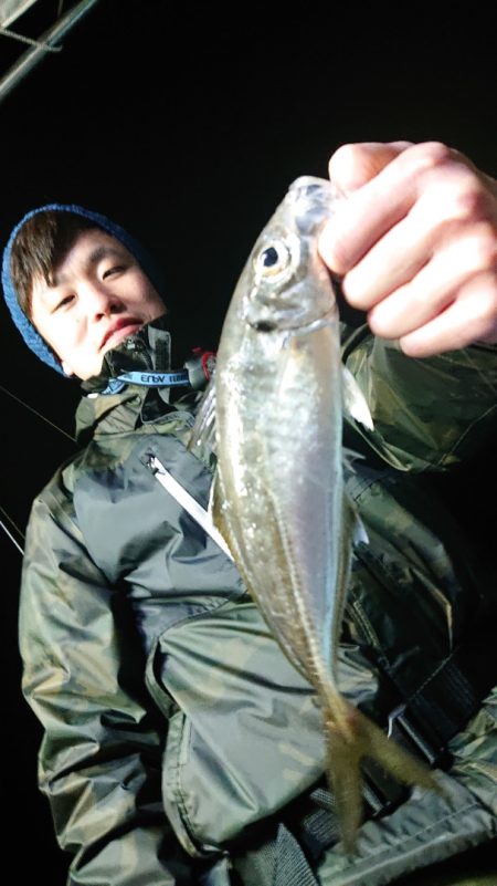 シースナイパー海龍 釣果