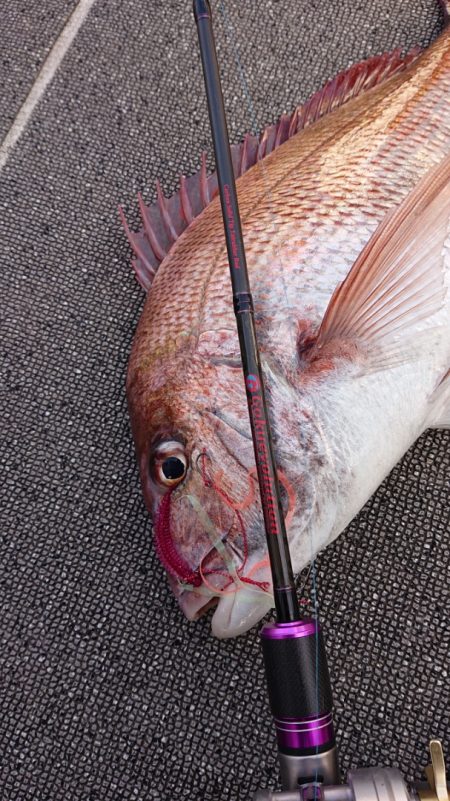 ARCADIAⅡ （アルカディアⅡ） 釣果…