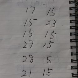 金沢八景鴨下丸 釣果