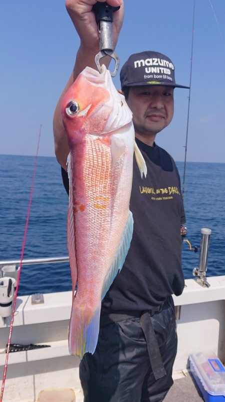 ARCADIAⅡ （アルカディアⅡ） 釣果…