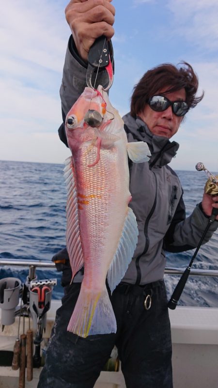 ARCADIAⅡ (アルカディアⅡ) 釣果