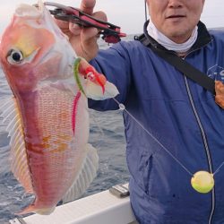 ARCADIAⅡ (アルカディアⅡ) 釣果