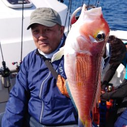 ARCADIAⅡ (アルカディアⅡ) 釣果