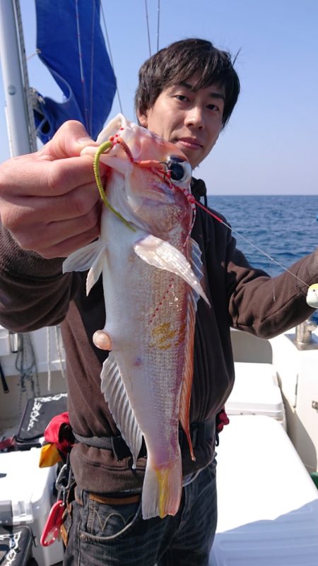 ARCADIAⅡ (アルカディアⅡ) 釣果