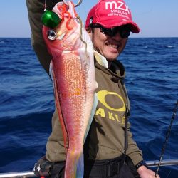 ARCADIAⅡ (アルカディアⅡ) 釣果