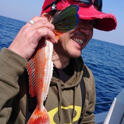 ARCADIAⅡ (アルカディアⅡ) 釣果