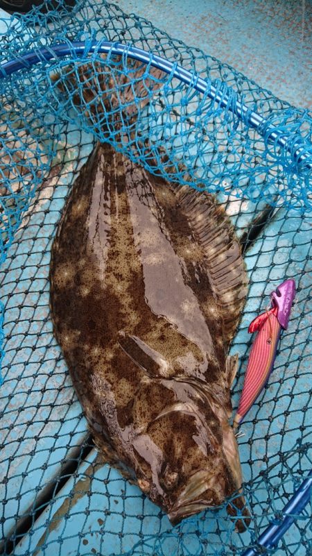 シースナイパー海龍 釣果