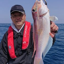 ARCADIAⅡ (アルカディアⅡ) 釣果