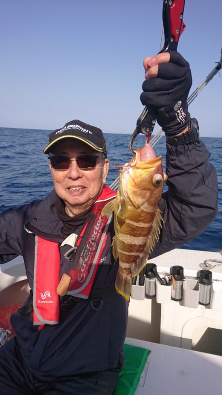 ARCADIAⅡ (アルカディアⅡ) 釣果