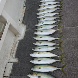 ARCADIAⅡ (アルカディアⅡ) 釣果