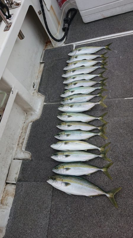 ARCADIAⅡ (アルカディアⅡ) 釣果