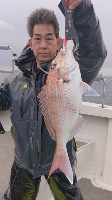 ARCADIAⅡ （アルカディアⅡ） 釣果