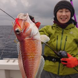 ARCADIAⅡ （アルカディアⅡ） 釣果