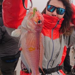 ARCADIAⅡ （アルカディアⅡ） 釣果