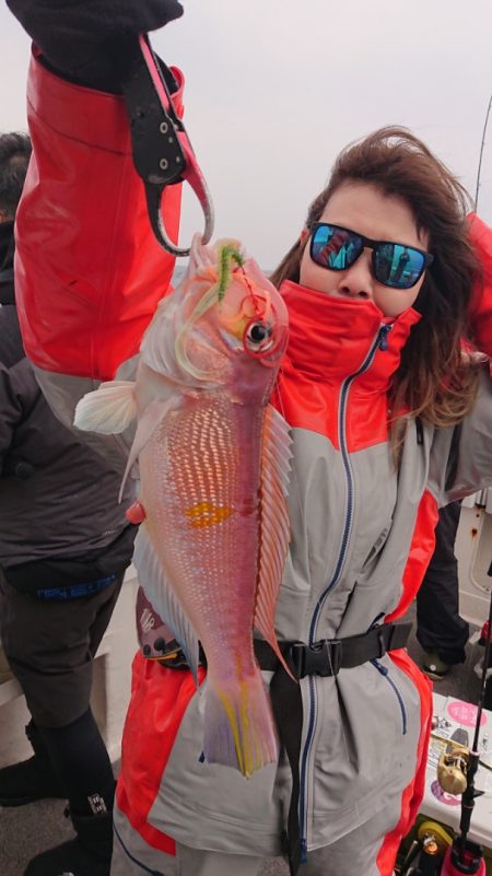 ARCADIAⅡ （アルカディアⅡ） 釣果