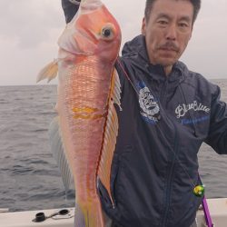 ARCADIAⅡ （アルカディアⅡ） 釣果