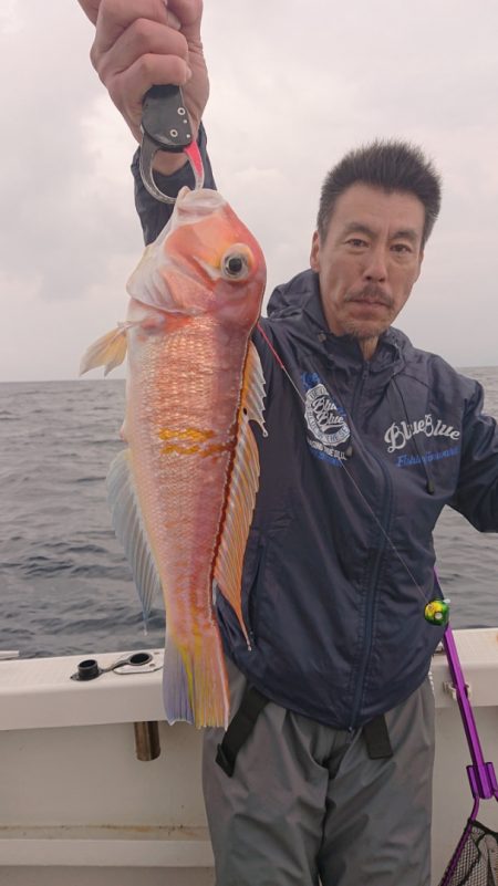 ARCADIAⅡ （アルカディアⅡ） 釣果