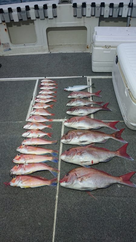 ARCADIAⅡ （アルカディアⅡ） 釣果